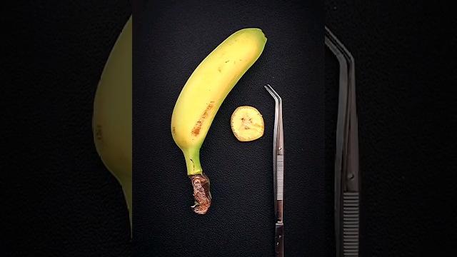 Аmazingly! Banana under the microscope / банан под микроскопом #macrozoom #macroworld #micro Аmazingly! Banana under the microscope / банан под микроскопом #macrozoom #macroworld #micro