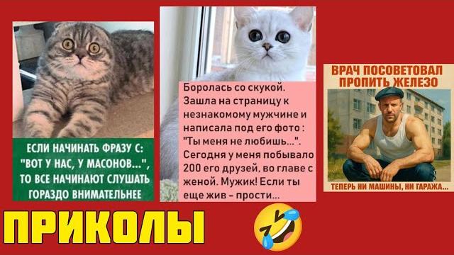 Настроение на максимум! Весёлые мемы, которые сделают твой день! смешные картинки и приколы Настроение на максимум! Весёлые мемы, которые сделают твой день! смешные картинки и приколы