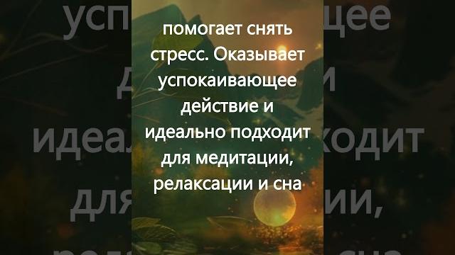 Расслабляющая музыка для снятия стресса - Успокаивающая музыка - Медитация, Релаксация, Сон, Спа Расслабляющая музыка для снятия стресса - Успокаивающая музыка - Медитация, Релаксация, Сон, Спа