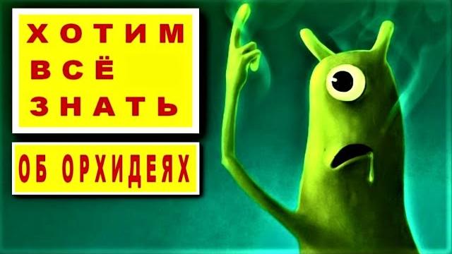 ВОДОРОСЛИ/ЦИАНОБАКТЕРИИ И ПОЧВЕННЫЕ ГРИБЫ В ОРХИДЕЯХ! УХОД ЗА ОРХИДЕЯМИ В ВОПРОСАХ И ОТВЕТАХ! ВОДОРОСЛИ/ЦИАНОБАКТЕРИИ И ПОЧВЕННЫЕ ГРИБЫ В ОРХИДЕЯХ! УХОД ЗА ОРХИДЕЯМИ В ВОПРОСАХ И ОТВЕТАХ!
