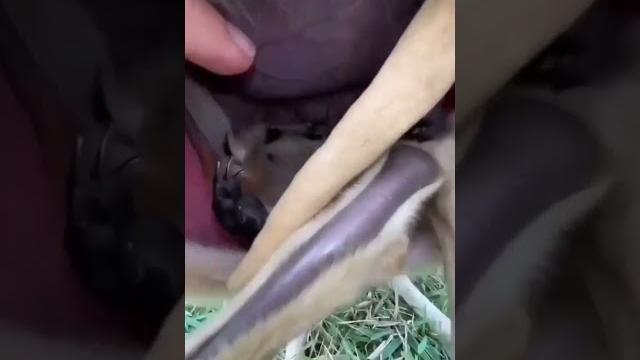 как у Христа за пазухой... как у Христа за пазухой...