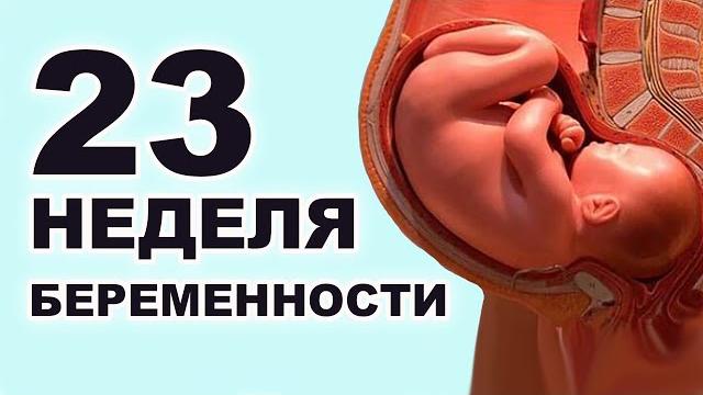 Что происходит с мамой и ребенком на 23 неделе беременности? 5 месяц беременности. Второй триместр. Что происходит с мамой и ребенком на 23 неделе беременности? 5 месяц беременности. Второй триместр.