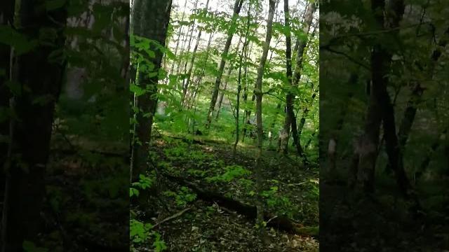 База отдыха Краснодарский край Кура-Цеце База отдыха Краснодарский край Кура-Цеце
