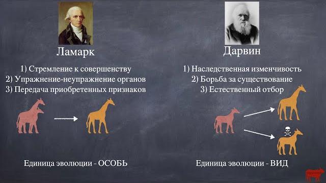 Эволюционные теории Ламарка и Дарвина Эволюционные теории Ламарка и Дарвина