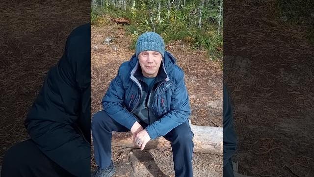 Карелия, Рысья гора, Вяртсиля. Карелия, Рысья гора, Вяртсиля.