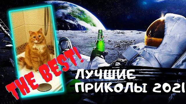 Лучшие приколы 2021 Смешные видео Подборка приколов №5 Приколы с животными и людьми на Funny Video Лучшие приколы 2021 Смешные видео Подборка приколов №5 Приколы с животными и людьми на Funny Video