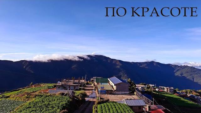 Как я провел лето? Сочинение. Как я провел лето? Сочинение.