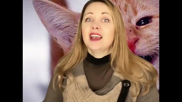 Анекдот про пьянку с друзьями и месть кота. Анекдот про пьянку с друзьями и месть кота.