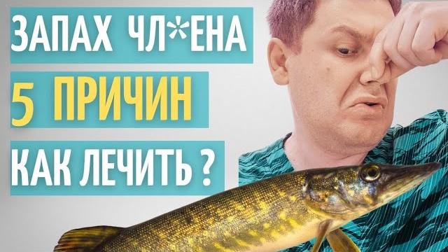 5 причин запаха полового ч*Лена // Что делать 5 причин запаха полового ч*Лена // Что делать