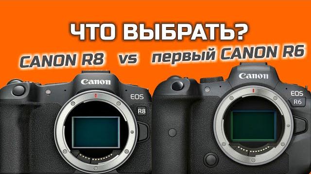 Что выбрать: первый Canon R6 или Canon R8? Что выбрать: первый Canon R6 или Canon R8?