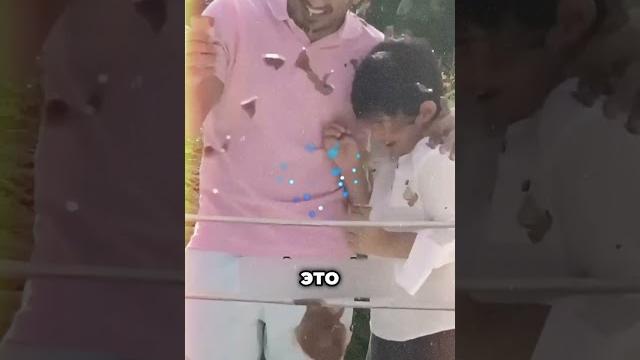 Отходы туалета самолета Отходы туалета самолета